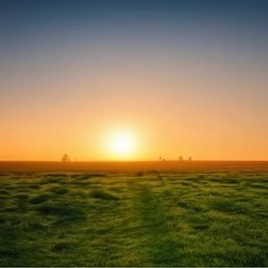 Meet your Posher, Aishani